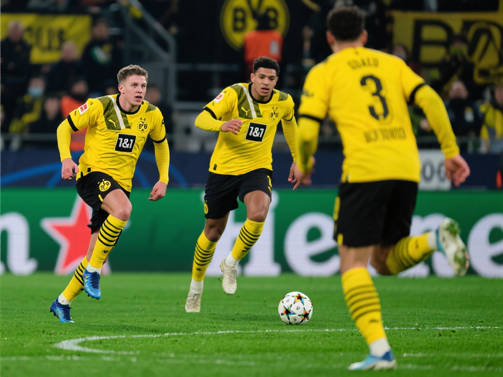 球迷来说 球迷来说